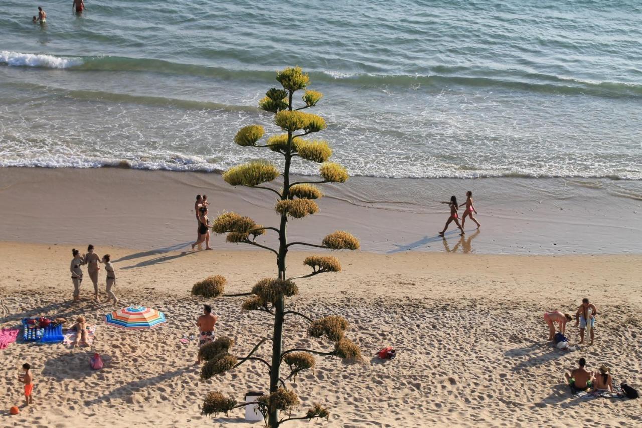 Canarias Apartment Conil De La Frontera